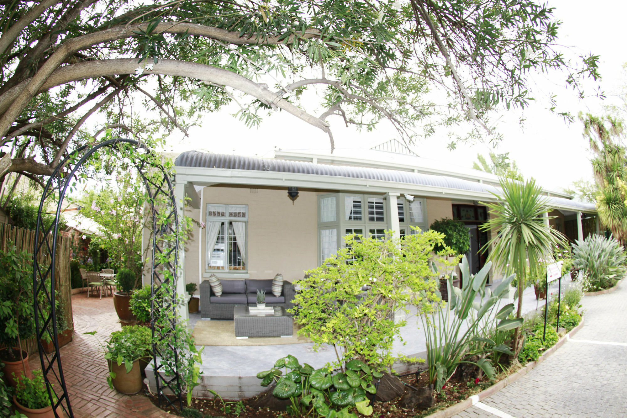 Oleander Guest House Kimberley Zewnętrze zdjęcie