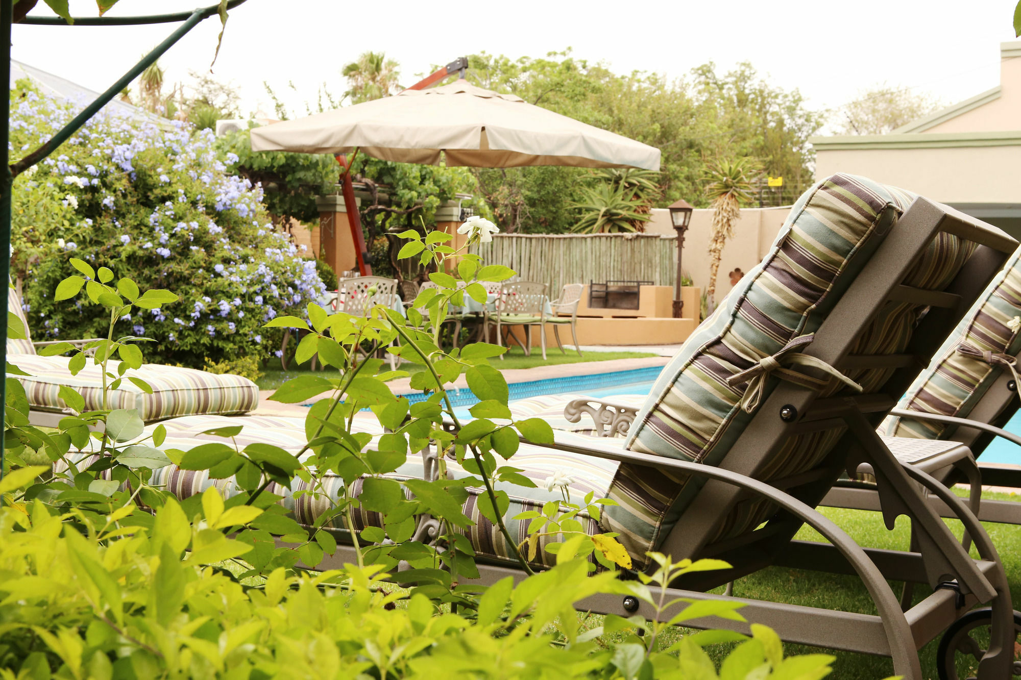 Oleander Guest House Kimberley Zewnętrze zdjęcie
